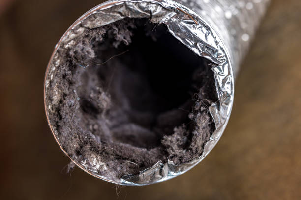 Best Local Air Duct Cleaning Services  in Robbins, IL